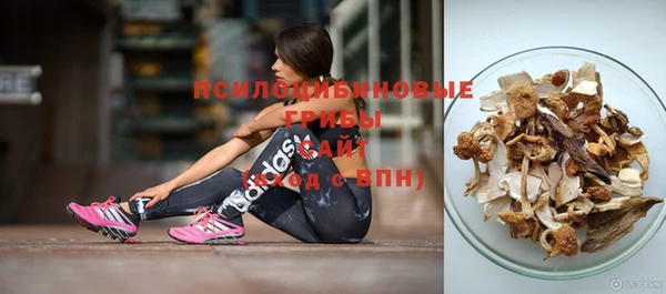 прущие крисы Армянск