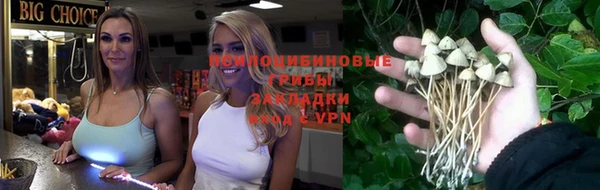 прущие крисы Армянск