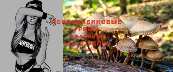 mdpv Алексин