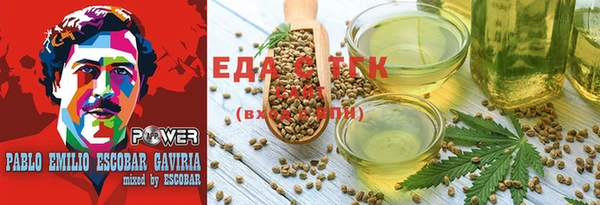 гашик Арсеньев