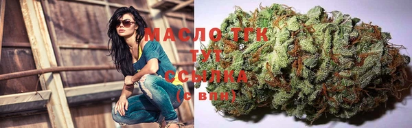 гашик Арсеньев